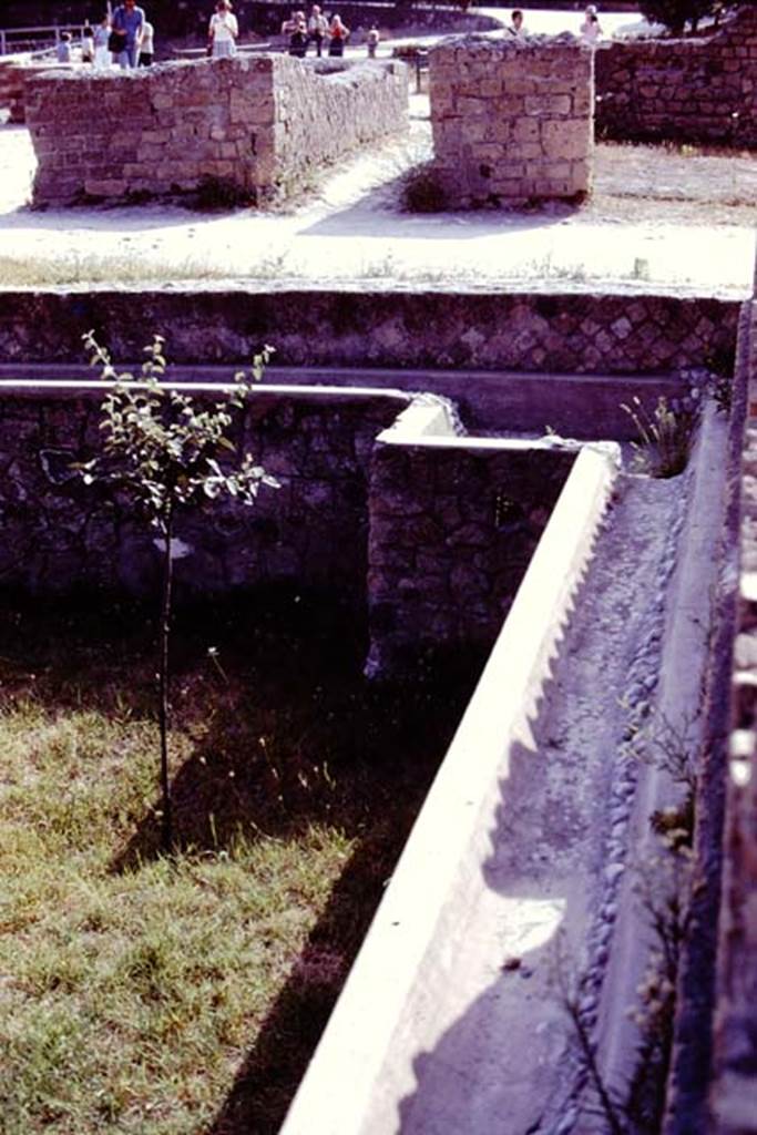 III, 1,2,18/19 Casa dell’Albergo, Herculaneum. 1978. South-west corner of area 31. 
Photo by Stanley A. Jashemski.   
Source: The Wilhelmina and Stanley A. Jashemski archive in the University of Maryland Library, Special Collections (See collection page) and made available under the Creative Commons Attribution-Non Commercial License v.4. See Licence and use details. J78f0524